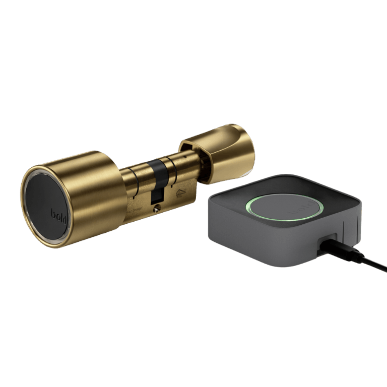 1x Elite - SX33 - Brass / 1x Connect