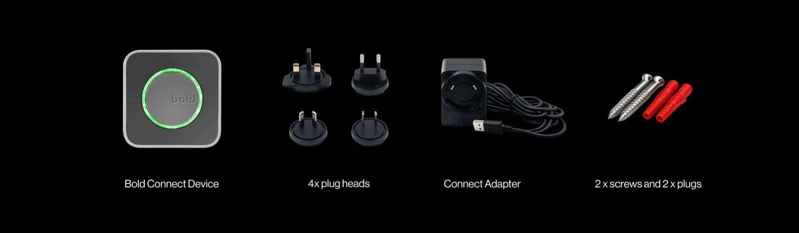 What's in the box: a Bold Connect with a USB-C power adapter and four plug attachments